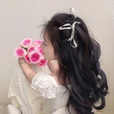 惹不起的殿下大人